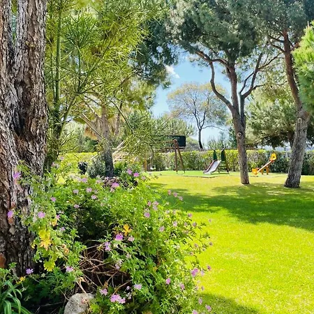 Lägenhet Bicos S By Check-in Portugal Albufeira