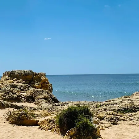 Bicos S By Check-in Portugal