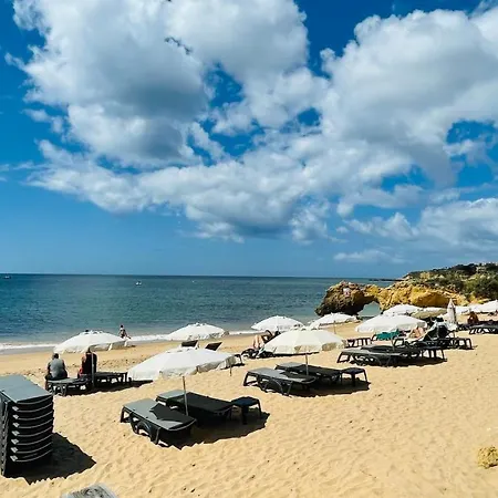 Bicos S By Check-in Portugal Διαμέρισμα Αλμπουφέιρα